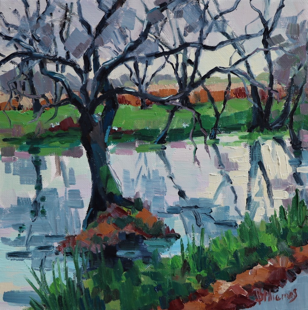 Trou d'eau, Baden. 30x30. Béatrice ALIAMUS.