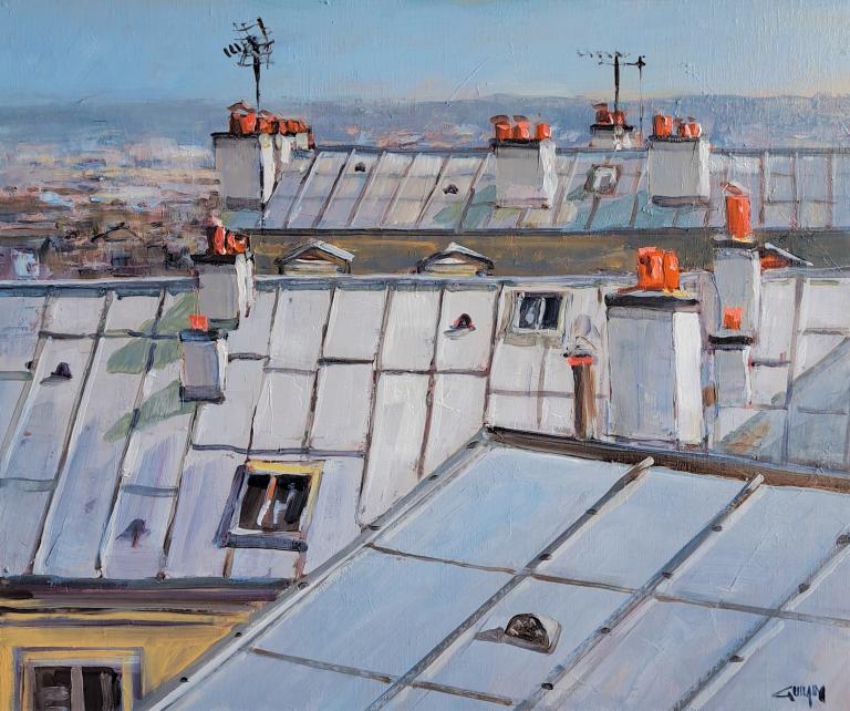 Les toits de zinc, Paris. 50x50. Bernard GUILAIN.